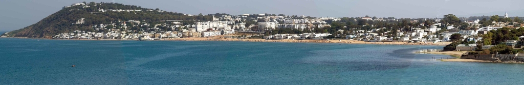 villa La Marsa