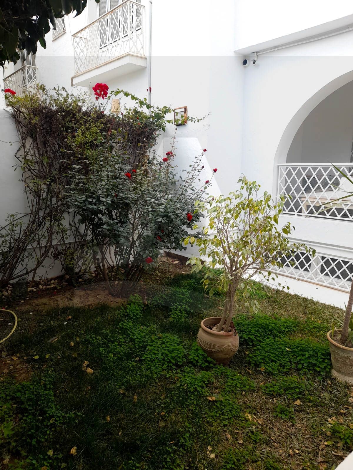 A louer une magnifique villa s+4 image 6