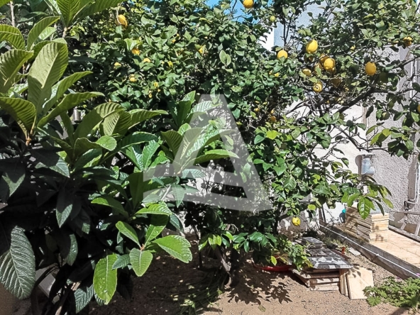 Superbe étage de villa à la marsa image 0