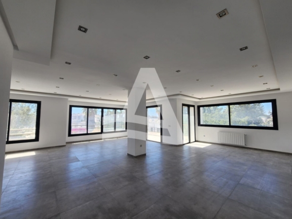 S+3 pour la location image 0