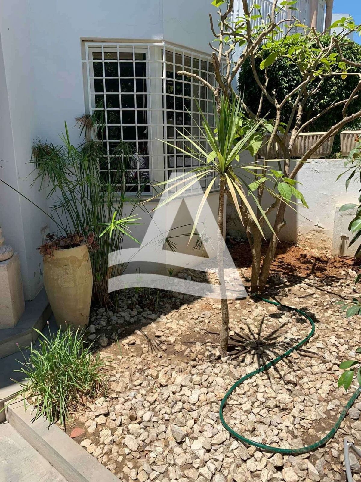 location duplex s+3 meuble avec jardin aux jardins de carthage image 6