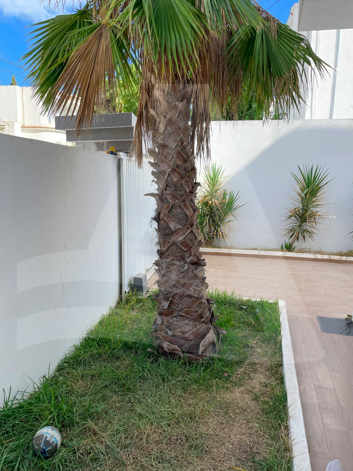 Rez de chaussée à vendre à Gammarth image 4