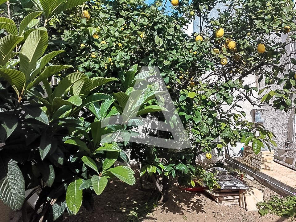 Superbe étage de villa à la marsa image 0