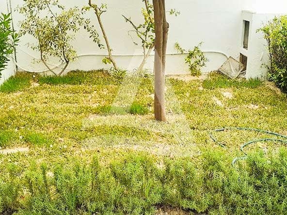 Location duplex la Marsa Tunisie image 0