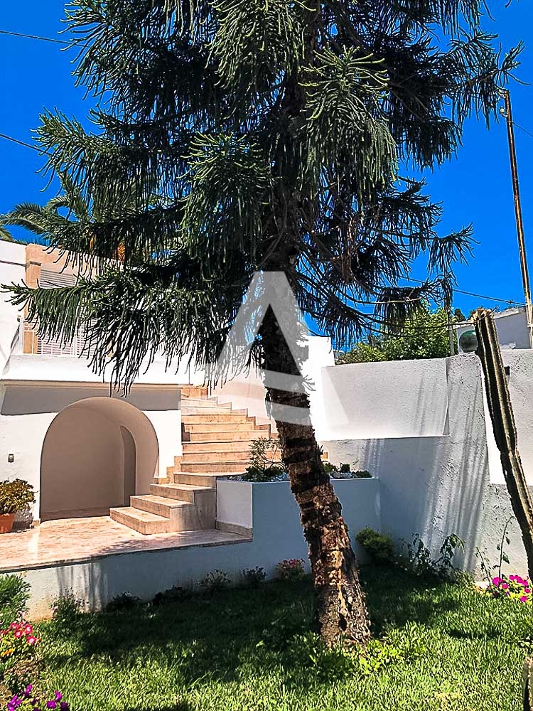 Une Merveilleuse Villa image 7