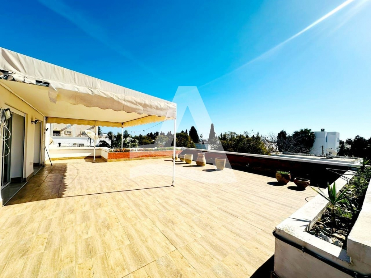 Magnifique duplex S3 meublé avec piscine à Carthage image 1