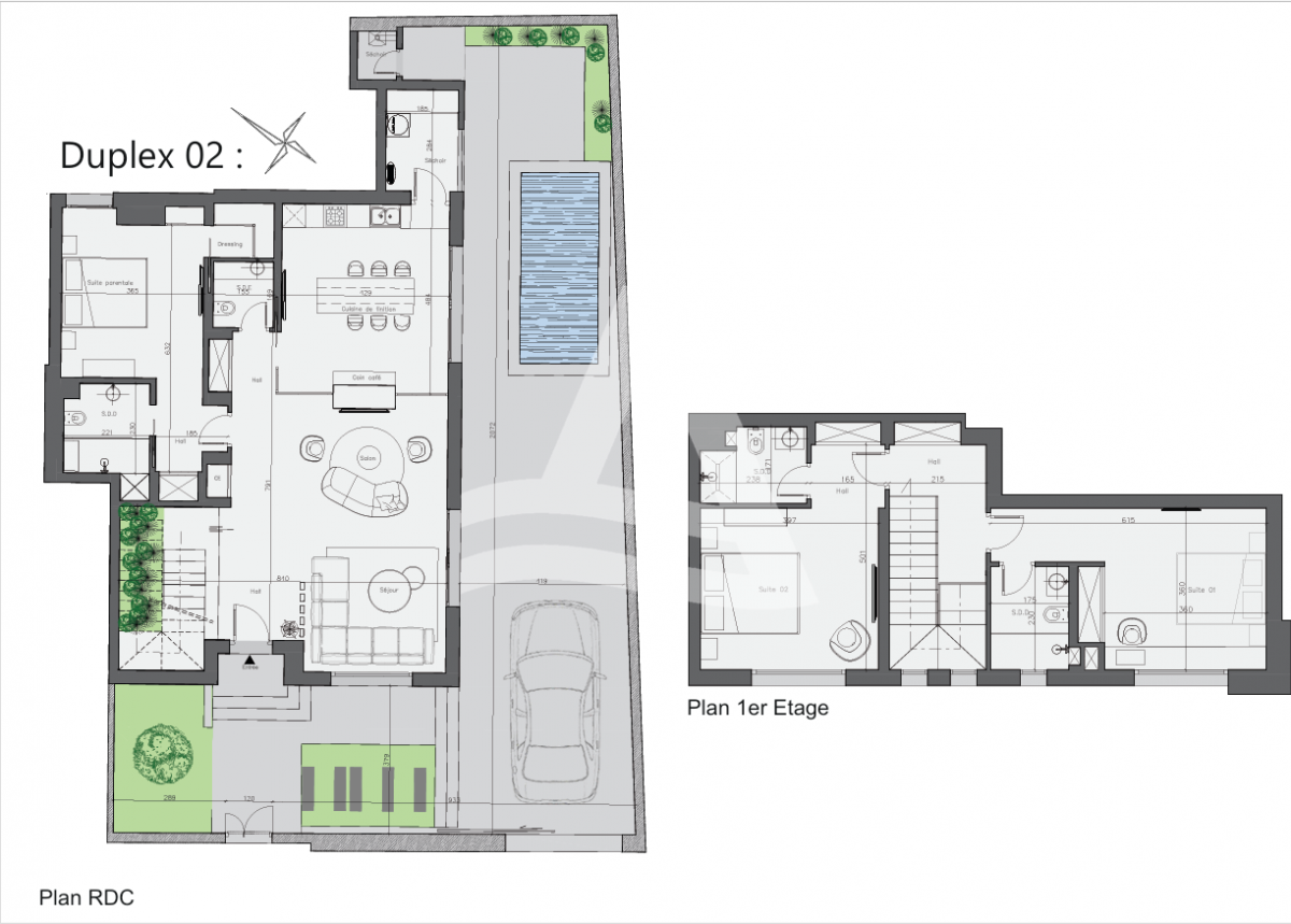 Vente d'un duplex sur plan à la Marsa image 1