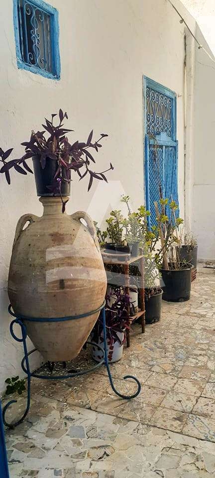 Maison à vendre à Sidi Bou Said image 1