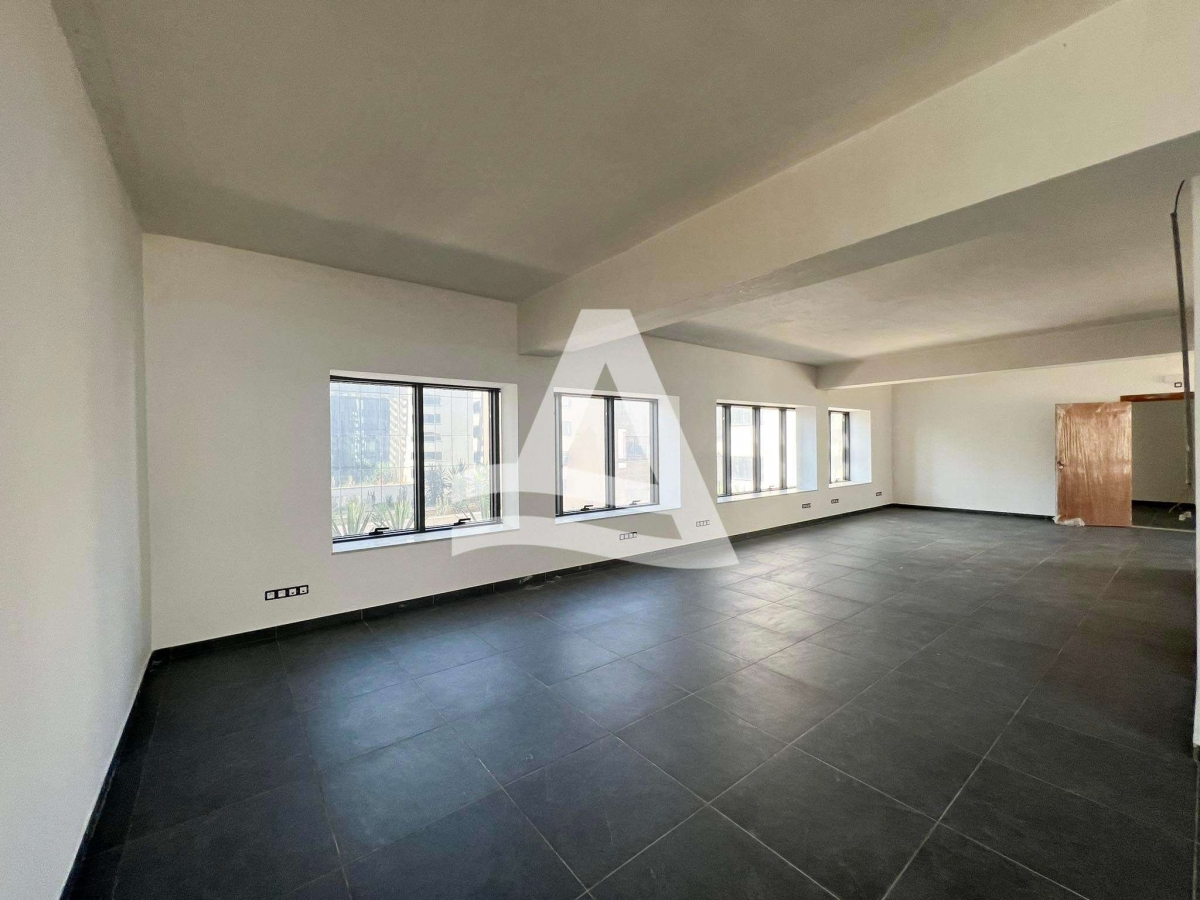 A vendre Immeuble lac 1 image 4