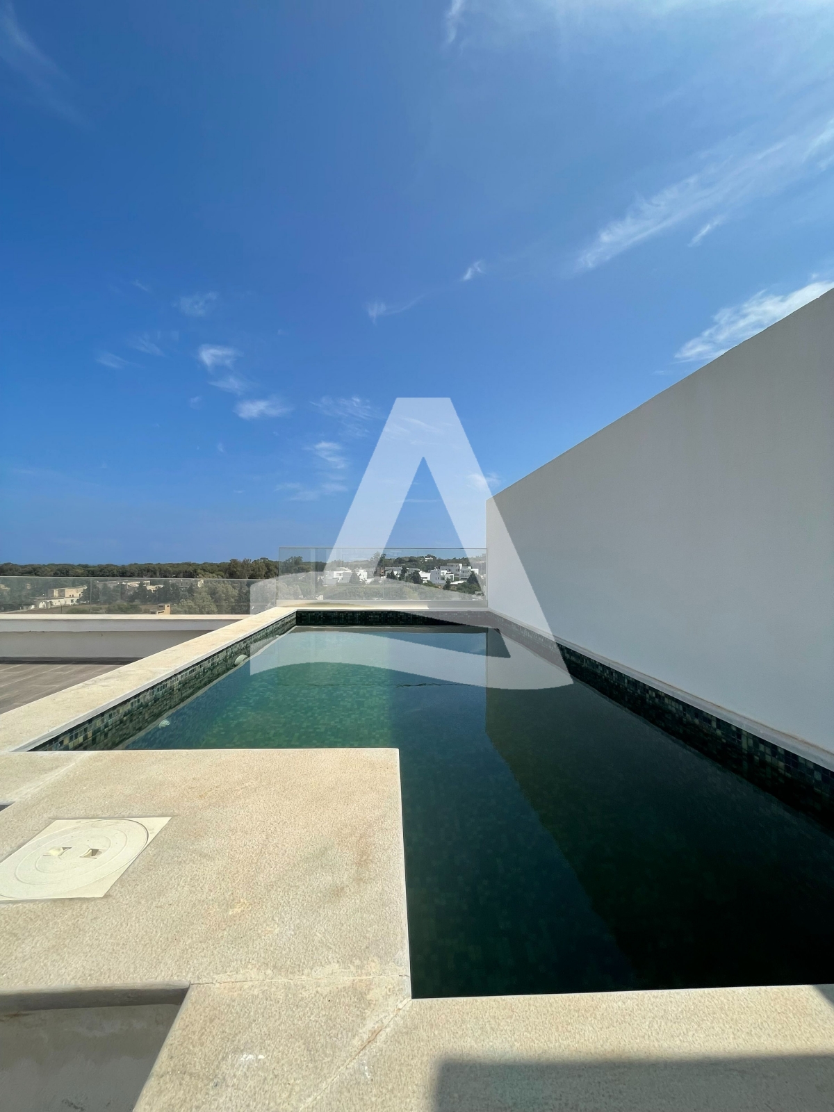 Location d'un triplex  avec piscine à Gammarth image 14