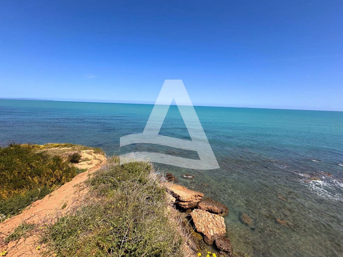 Terrain Exceptionnel avec Vue Mer image 1
