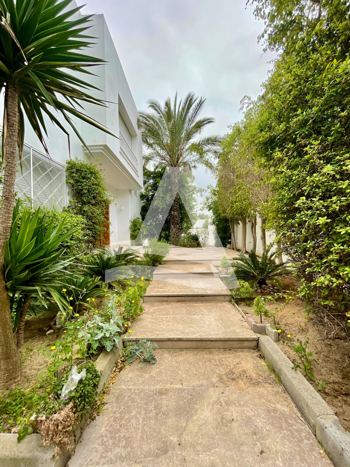 Villa à louer à Gammarth image 4